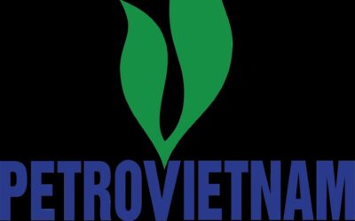 Cổ phiếu PGD: Thông tin, Phân tích tài chính, Cổ tức và Triển vọng đầu tư