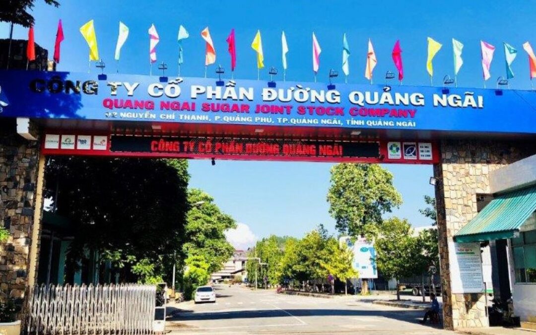 Cổ phiếu QNS: Thông tin, Đặc điểm, Vị thế và Triển vọng đầu tư