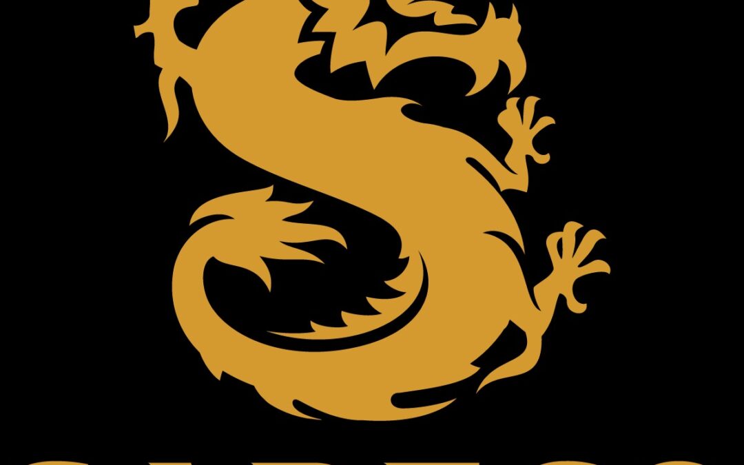 Cổ phiếu SBB: Thông tin, Đặc điểm, Lịch sử giá và Đánh giá đầu tư