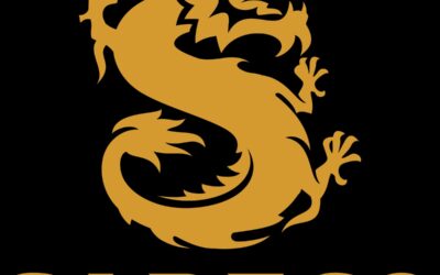 Cổ phiếu SBB: Thông tin, Đặc điểm, Lịch sử giá và Đánh giá đầu tư