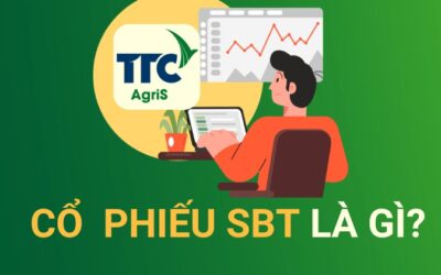 Cổ phiếu SBT: Thông tin, Đặc điểm, Sức khỏe tài chính và Đánh giá đầu tư