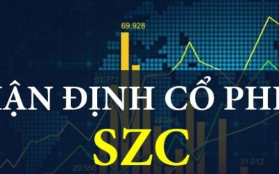 Cổ phiếu SZC: Thông tin, Đặc điểm, Đánh giá và Chiến lược đầu tư