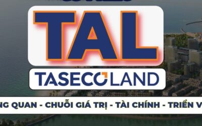 Cổ phiếu TAL: Thông tin, Đặc điểm, Tiềm năng và Chiến lược đầu tư