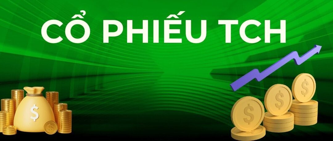 Cổ phiếu TCH: Thông tin, Chỉ số tài chính, Tiềm năng bất động sản và Chiến lược đầu tư
