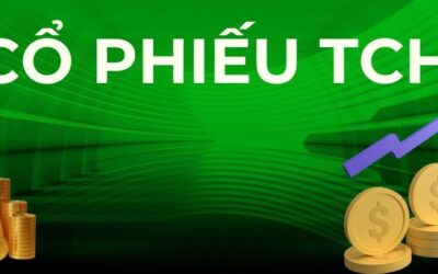 Cổ phiếu TCH: Thông tin, Chỉ số tài chính, Tiềm năng bất động sản và Chiến lược đầu tư