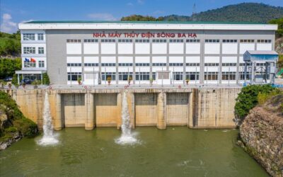 Cổ phiếu SBH: Thông tin niêm yết, Đặc điểm vận hành, Tiềm năng lợi nhuận và Chiến lược đầu tư