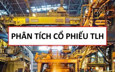 Cổ phiếu TLH: Thông tin, Đặc điểm, Đánh giá và Chiến lược đầu tư
