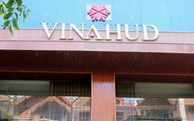 Cổ phiếu VHD: Thông tin, Đặc điểm, Phân tích tài chính và Tiềm năng đầu tư