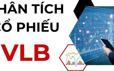 Cổ phiếu VLB: Thông tin, Đặc điểm, Tiềm năng và Cách đầu tư