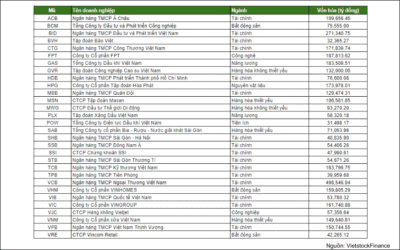 Cảm ơn Quý khách đã đăng ký 1 VN30 gồm những mã nào: Thông tin, Đặc điểm, Tiêu chí và Cách đầu tư