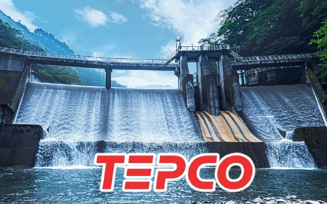 Cổ phiếu VPD: Thông tin, Đặc điểm, Định giá và Chiến lược đầu tư