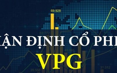 Cổ phiếu VPG: Thông tin, Đặc điểm, Tiềm năng và Chiến lược đầu tư
