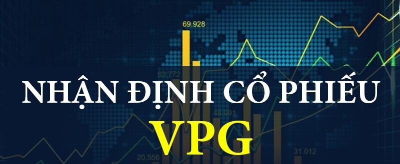 Cổ phiếu VPG: Thông tin, Đặc điểm, Tiềm năng và Chiến lược đầu tư