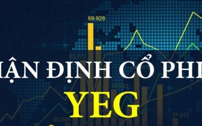 Cổ phiếu YEG: Thông tin doanh nghiệp, Biến động giá, Phân tích tài chính và Tiềm năng đầu tư