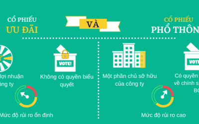 Các loại cổ phiếu: Thông tin, Phân loại, Đặc điểm và Chiến lược đầu tư