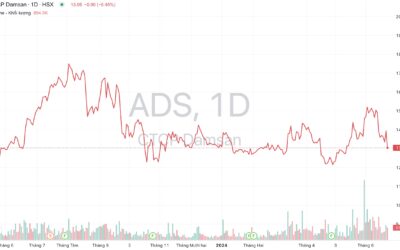 Cổ phiếu ADS: Thông tin doanh nghiệp, Đặc điểm thị trường, Tiềm năng tăng trưởng và Chiến lược đầu tư