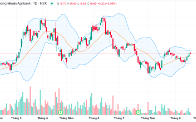 Cổ phiếu AGR: Thông tin, Đặc điểm, Tiềm năng và Cách đầu tư