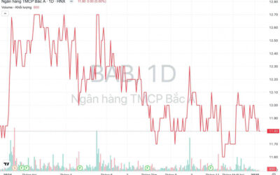 Cổ phiếu BAB: Thông tin doanh nghiệp, Đặc điểm tài chính, Định giá và Triển vọng đầu tư