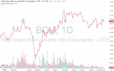 Cổ phiếu BCM: Thông tin doanh nghiệp, Đặc điểm kinh doanh, Tiềm năng tăng trưởng và Chiến lược đầu tư