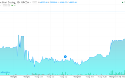 Cổ phiếu BDG: Thông tin doanh nghiệp, Đặc điểm tài chính, Tiềm năng và Chiến lược đầu tư