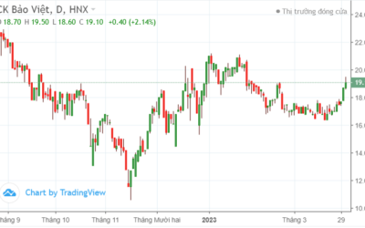 Cổ phiếu BVS: Thông tin, Đặc điểm, Công dụng và Cách phân tích