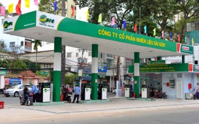 Chứng Khoán Casin - An Toàn Vốn & Gia Tăng Bền Vững 1 Cổ phiếu SFC: Thông tin, Đặc điểm, Tiềm năng và Lưu ý đầu tư