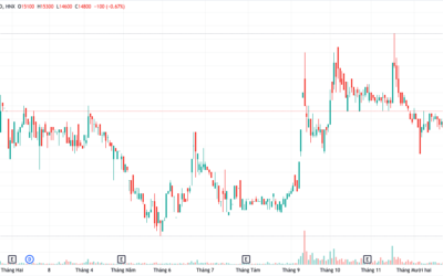Cổ phiếu CIA: Thông tin doanh nghiệp, Đặc điểm tài chính, Tiềm năng đầu tư và Cách thức giao dịch