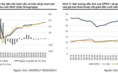 Cổ phiếu COM: Thông tin, Đặc điểm, Tiềm năng và Chiến lược đầu tư