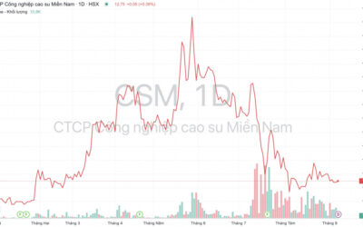 Cổ phiếu CSM: Thông tin, Chỉ số tài chính, Tiềm năng và Chiến lược đầu tư