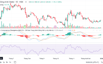 Cổ phiếu CTR: Thông tin, Chỉ số tài chính, Tiềm năng tăng trưởng và Chiến lược đầu tư
