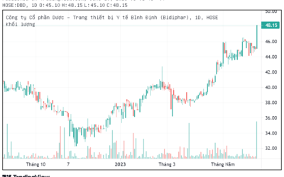 Cổ phiếu DBD: Thông tin doanh nghiệp, Đặc điểm tài chính, Tiềm năng tăng trưởng và Chiến lược đầu tư