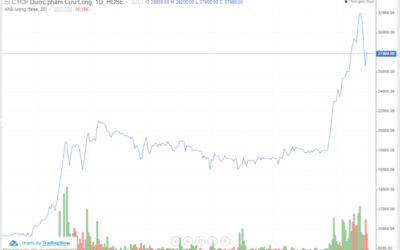 Cổ phiếu DCL: Thông tin, Đặc điểm, Tiềm năng và Chiến lược đầu tư 2026