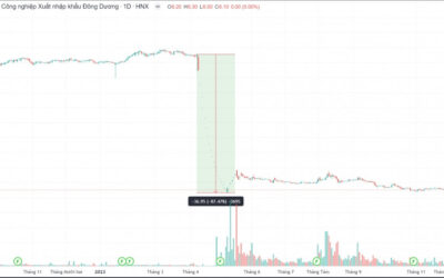 Cổ phiếu DDG: Thông tin doanh nghiệp, Đặc điểm tài chính, Biến động giá và Chiến lược đầu tư