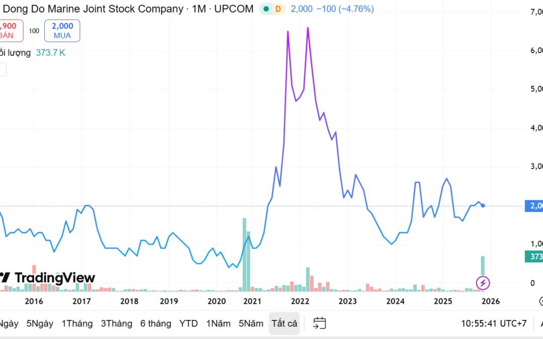 Cổ phiếu DDM: Thông tin, Đặc điểm, Tiềm năng và Cách đầu tư