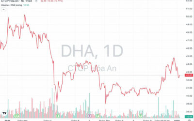 Cổ phiếu DHA: Thông tin, Đặc điểm, Tiềm năng và Cách đầu tư