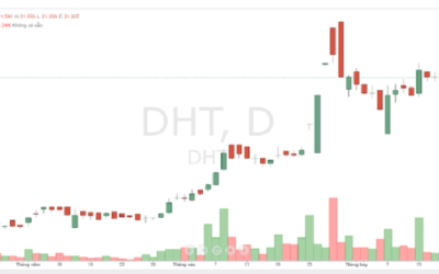 Cổ phiếu DHT: Thông tin, Chỉ số tài chính, Tiềm năng và Chiến lược đầu tư