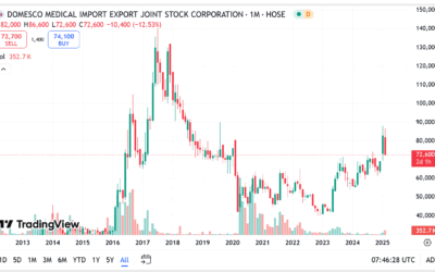 Cổ phiếu DMC: Thông tin doanh nghiệp, Chỉ số tài chính, Triển vọng và Chiến lược đầu tư