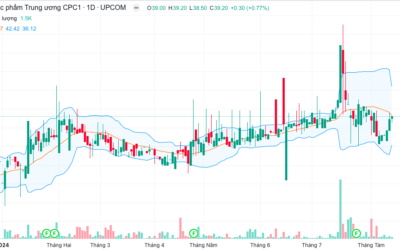 Cổ phiếu DP1: Thông tin doanh nghiệp, Đặc điểm tài chính, Tiềm năng tăng trưởng và Chiến lược đầu tư