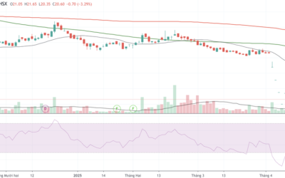 Cổ phiếu DRC: Thông tin, Đặc điểm, Đánh giá tài chính và Tiềm năng đầu tư