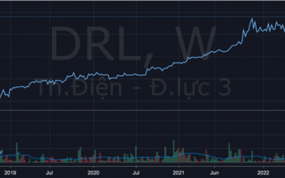 Cổ phiếu DRL: Thông tin doanh nghiệp, Đặc điểm vận hành, Tiềm năng cổ tức và Chiến lược đầu tư hiệu quả