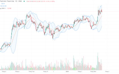 Cổ phiếu DTD: Thông tin, Đặc điểm, Tiềm năng và Chiến lược đầu tư