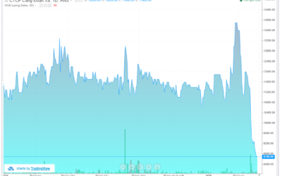 Cổ phiếu DXP: Thông tin niêm yết, Đặc điểm tài chính, Triển vọng kinh doanh và Chiến lược đầu tư