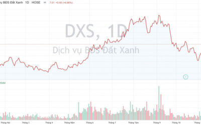 Cổ phiếu DXS: Thông tin doanh nghiệp, Đặc điểm tài chính, Tiềm năng tăng trưởng và Chiến lược đầu tư