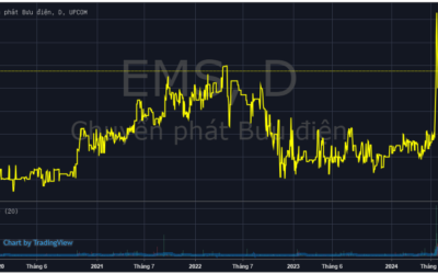 Cổ phiếu EMS: Thông tin niêm yết, Đặc điểm tài chính, Tiềm năng tăng trưởng và Chiến lược đầu tư