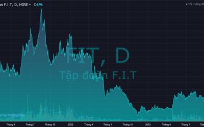 Cổ phiếu FIT: Thông tin doanh nghiệp, Đặc điểm tài chính, Tiềm năng tăng trưởng và Chiến lược đầu tư