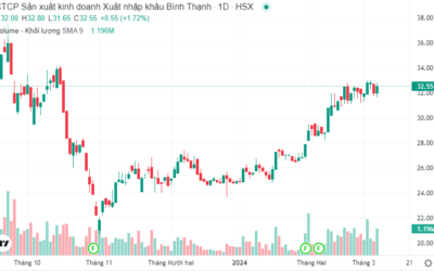Cổ phiếu GIL: Thông tin, Đặc điểm, Tiềm năng và Cách đầu tư