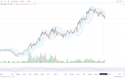 Cổ phiếu GMD: Thông tin, Đặc điểm, Tiềm năng và Chiến lược đầu tư