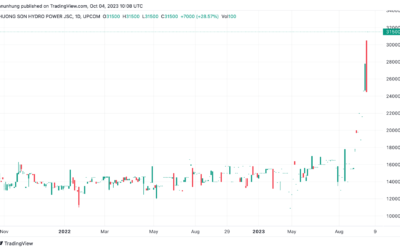 Cổ phiếu GSM: Thông tin, Đặc điểm, Tiềm năng và Cách đầu tư
