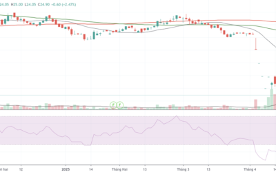 Cổ phiếu LHG: Thông tin, Phân tích, Định giá và Chiến lược đầu tư