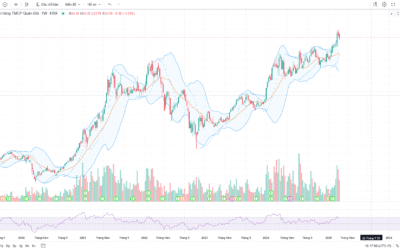 Cổ phiếu MBB: Thông tin, Chỉ số, Định giá và Chiến lược đầu tư